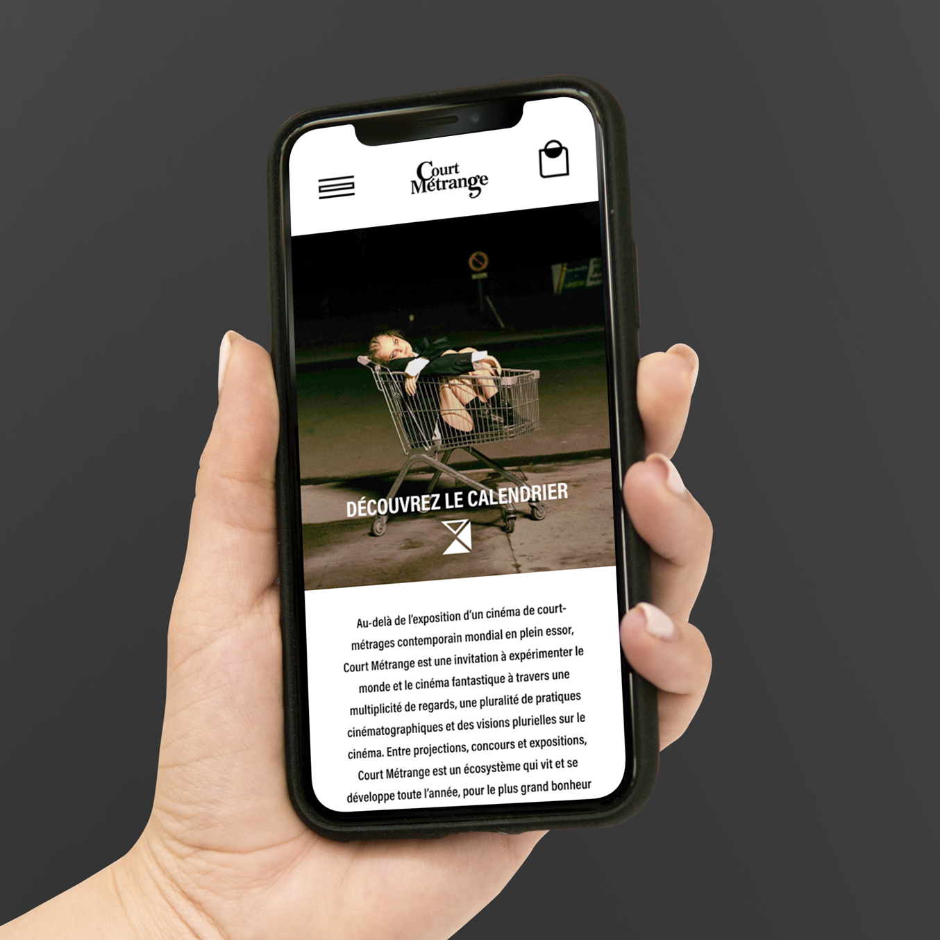 Projet Court Métrange : page du "calendrier" du site en version mobile
