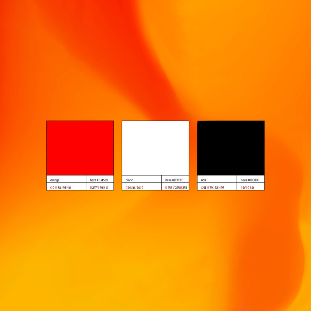 Projet saut hermès : présentation des couleurs (orange, blanc et noir) de l'identité visuelle