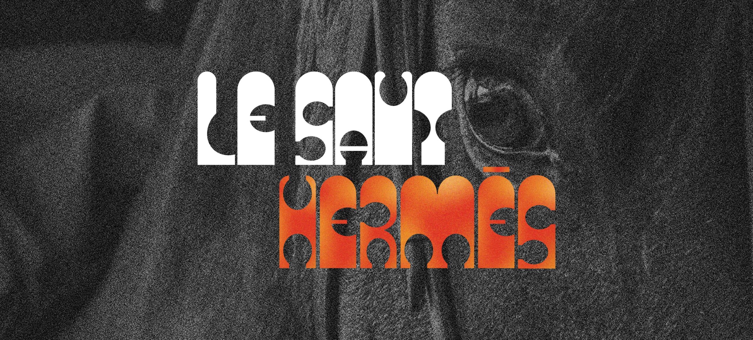 Projet saut hermès : logo du Saut hermès en blanc et orange, avec un cheval en fond